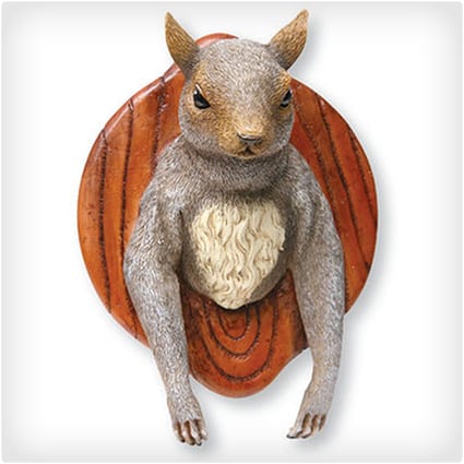Mounted Squirrel Head