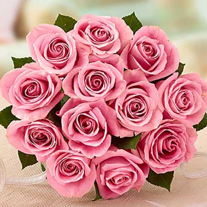 Pink-Petal-Roses