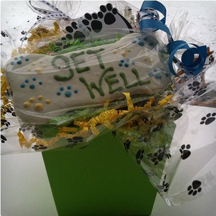 Get Well Gift Basket for Dogs