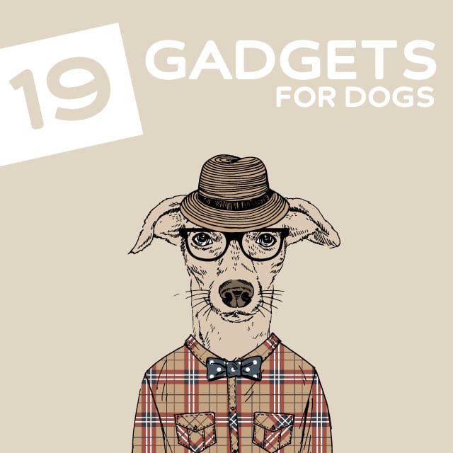 19 Coolest Gadgets and Gizmos for Dogs- your dog (and you) will love these!