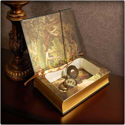 Hollow Book Safe