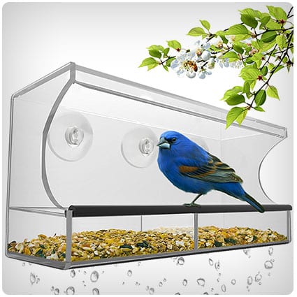 Nature's Hangout Window Bird Feeder with Removable Tray