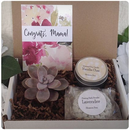 New Mom Succulent and Spa Gift Box
