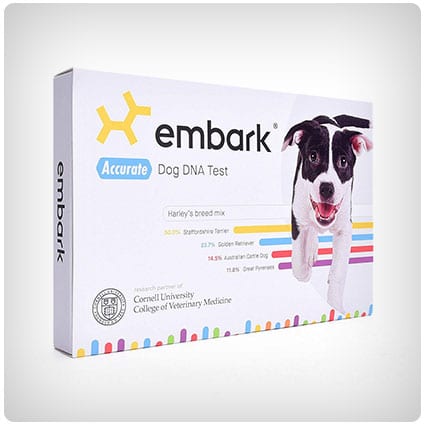 Embark Dog DNA Ancestry Test Kit