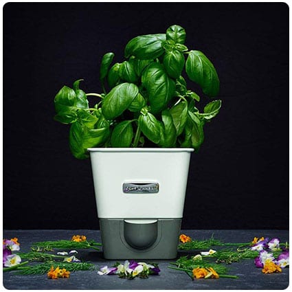 COLE & MASON Self-Watering Indoor Herb Garden Planter