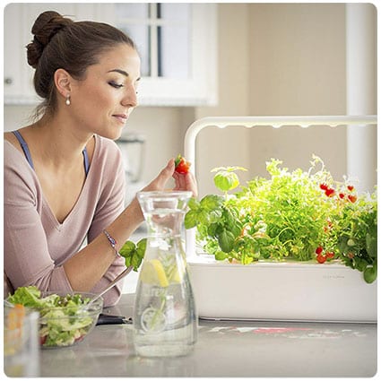 Click and Grow Indoor Home Smart Garden
