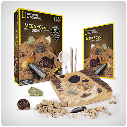 NATIONAL GEOGRAPHIC Mega Fossil Dig Kit