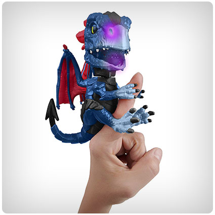Untamed Dragon
