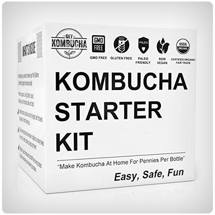Kombucha Starter Kit