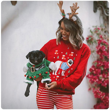 Pug Ugly Christmas Sweater