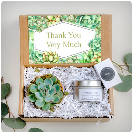Thank You Very Much Succulent Gift Box