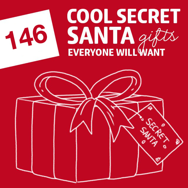 146 Cool Secret Santa Gifts That Everyone Will Want Dodo