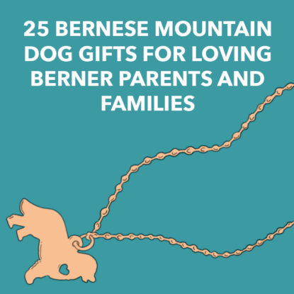 Bernese Mountain Dog Gifts