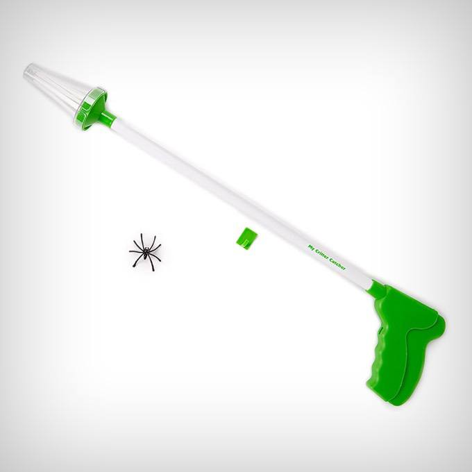Harmless Spider and Insect Catcher