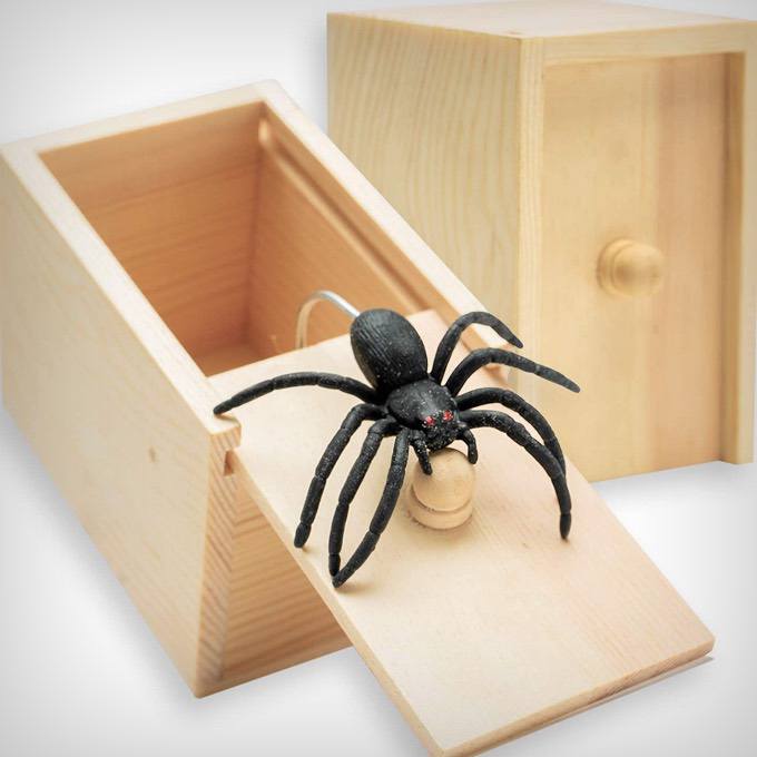 Spider In Box Gift Box