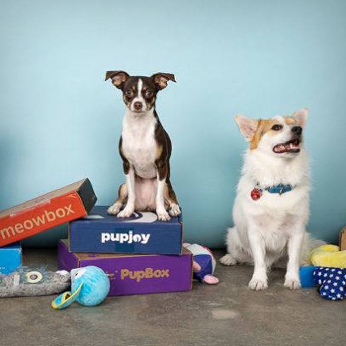 PupBox Subscription Box for Puppies